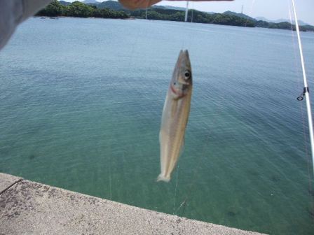 2012_05052012-5-5福島の釣りと0005.JPG