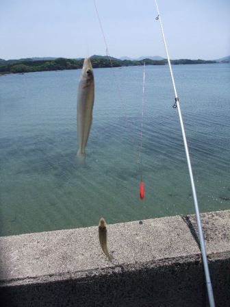 2012_05052012-5-5福島の釣りと0007.JPG
