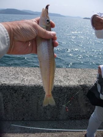 2012_05052012-5-5福島の釣りと0011.JPG