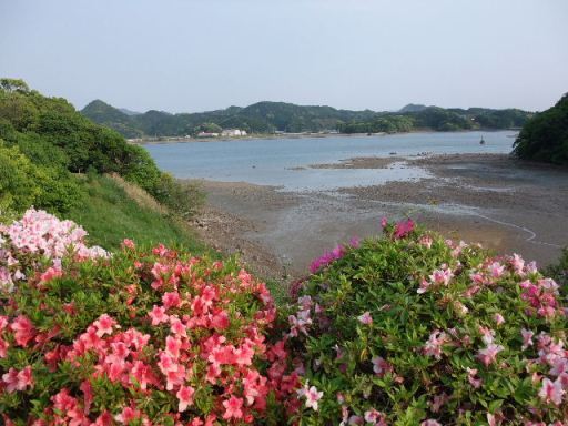 2012_05052012-5-5福島の釣りと0013.JPG